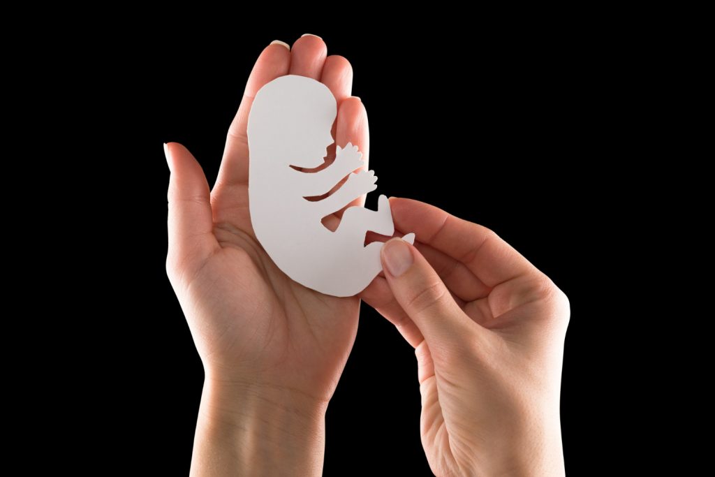 embryo-silhouette-woman-hand